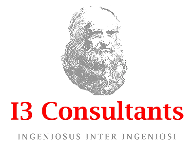 I3 Consultants