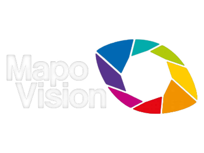 MapoVision